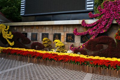 【厚蕴勤耕 菊花满园---2014上海菊花展】恭贺