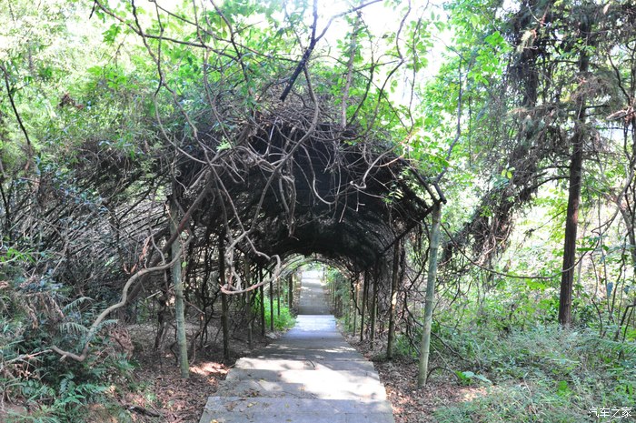 【图】广州花都王子山森林公园一日游
