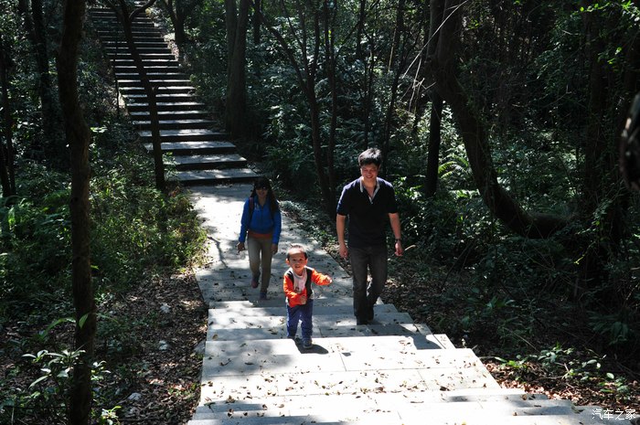 【图】广州花都王子山森林公园一日游