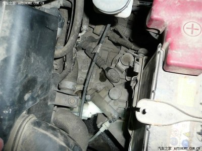 【图】请问哪位画眉换过1.5的离合器油?。1.朋友鸟红沙眼图片