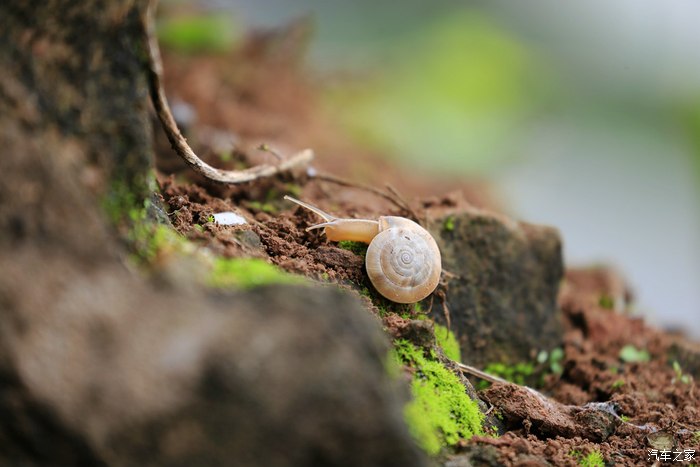 【图】入手了佳能70-300胖白 试拍了下,感觉还