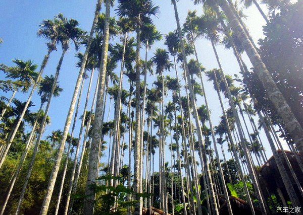 【图】【开着奇骏在路上】东方夏威夷,热带风