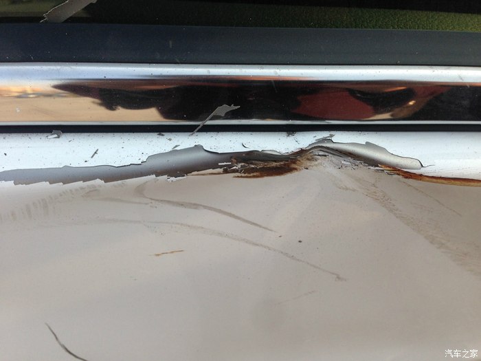 【图】刚刚满月就被送到交警队事故停车场了。