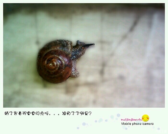 废品收购站_卖废品算什么收入