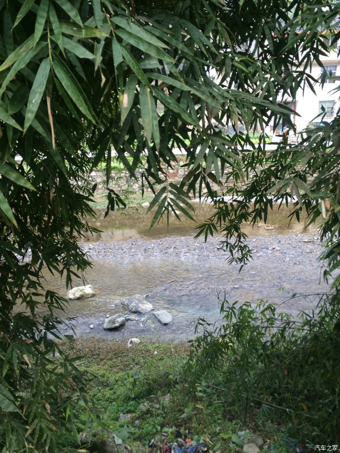 【图】宜昌三峡竹海。_河北论坛_汽车之家论