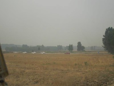 你是我一生中做的最成功的一件事_逸动论坛_