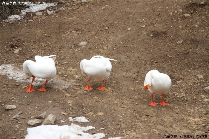 长安区抱龙峪冰瀑，离西安最近的冰瀑！