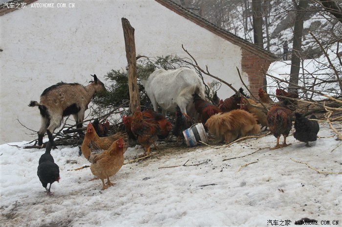长安区抱龙峪冰瀑,离西安最近的冰瀑! 长安区抱龙峪冰瀑,离西安最近的冰瀑!