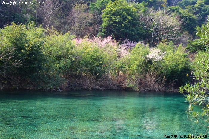 【图】【游记】桃花尽日随流水, 洞在清溪何处