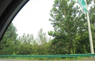 爱就是爱没有理由~~_长安CS75论坛_手机汽车