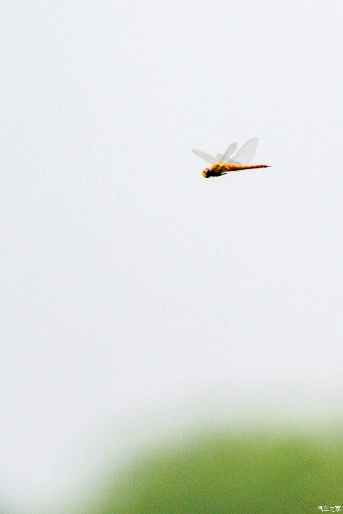 【图】自由飞翔_精彩作业论坛_汽车之家论坛