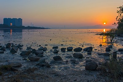 【风光】——深圳湾冬日晨景