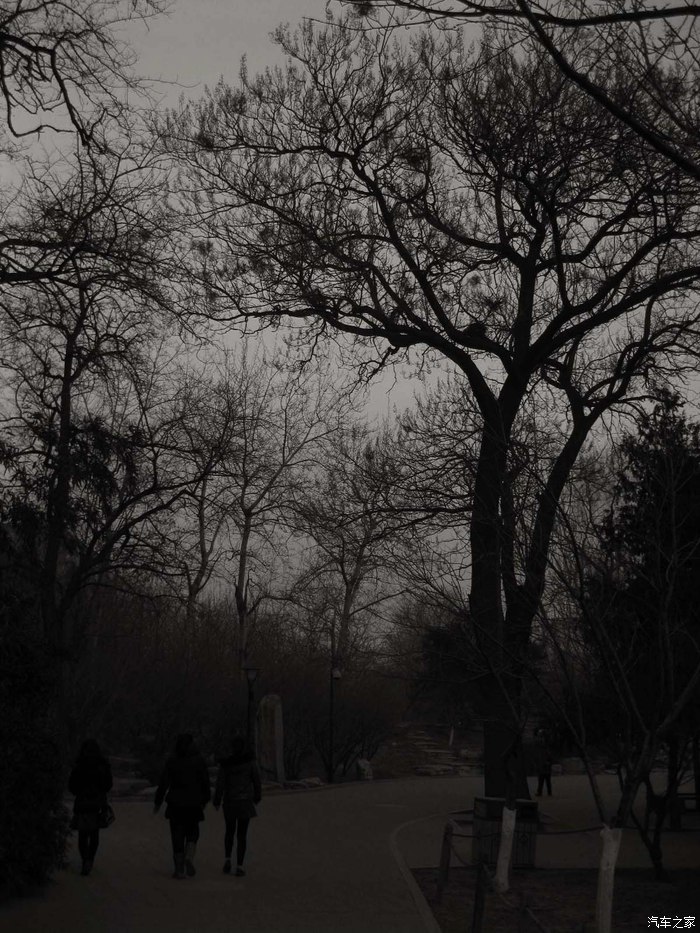 【图】树影森森 倩女幽魂_摄影论坛_汽车之家