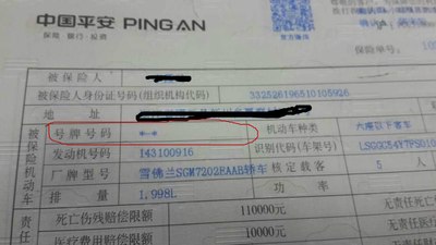 求助,车险保单的车牌号一栏