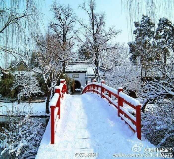 【图】(美丽扬州)雪下的那么深,下的那么真!