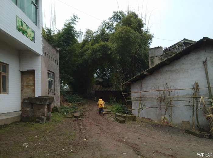 四川老家,走在乡间的小路上,分享四川农村