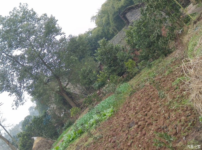 四川老家,走在乡间的小路上,分享四川农村