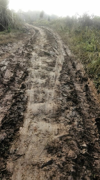 回老家,泥巴路