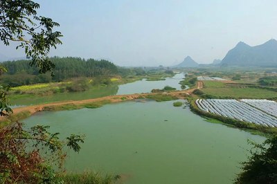 新春好去处,武鸣起凤山(图)