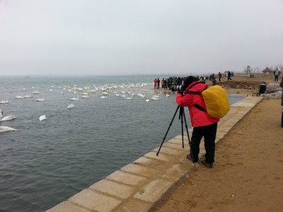 2015年春节威海乳山银滩荣成天鹅湖烟台海滨五日单人自驾放松之旅