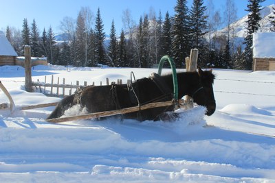 也叫马拉爬犁子 过年时的禾木喀纳斯 塔城玛依塔斯的风雪道路.