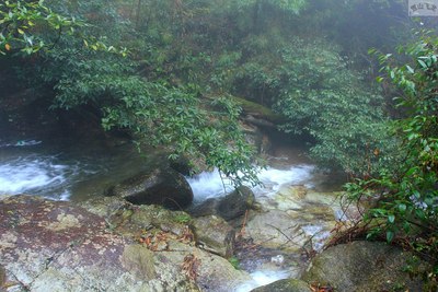 脚踏粤湘赣三省热水镇温泉万时山草原,上堡梯田,九峰山花海游记