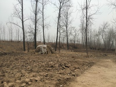 老家气象,纯农村,山东济宁鱼台、江苏徐州丰县