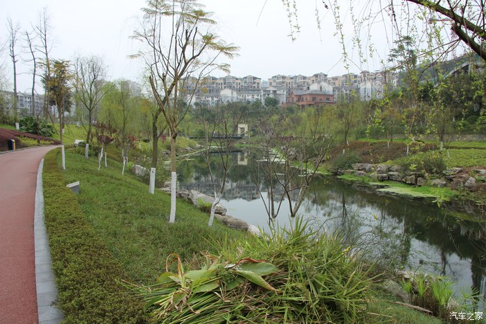 内江谢家河湿地公园半日游