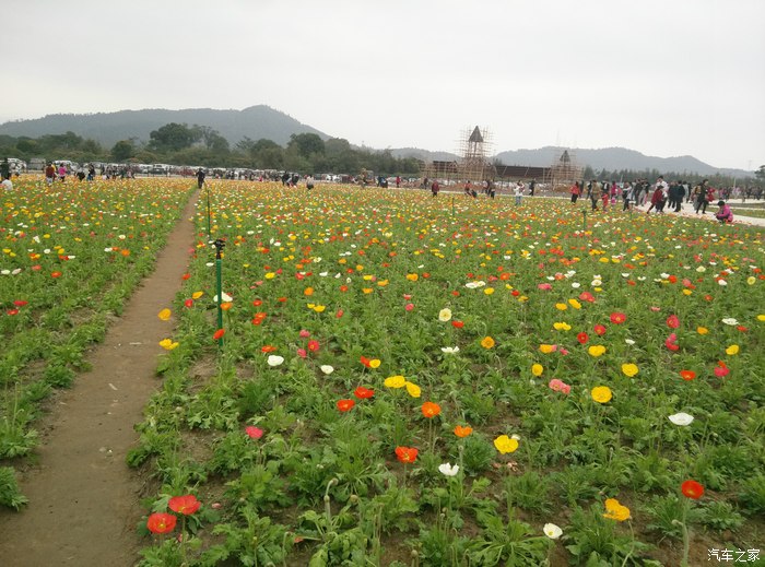 【图】广东惠州博罗那时花开主题公园一日游