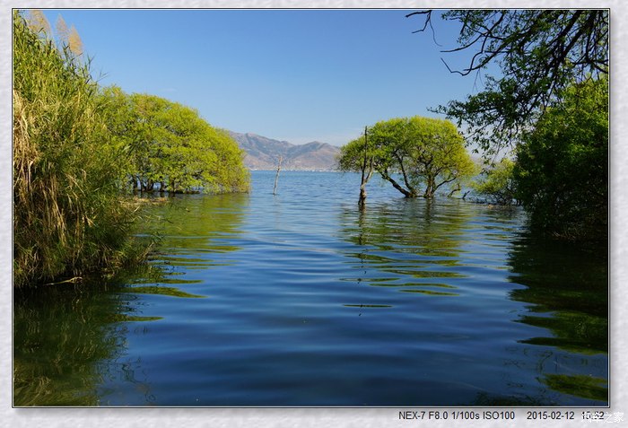 【图】【提问】微单、单反图片画质怎么看?