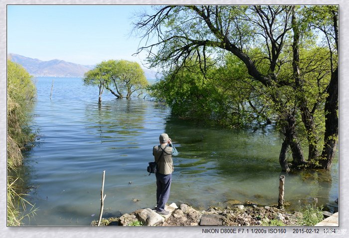 【图】【提问】微单、单反图片画质怎么看?