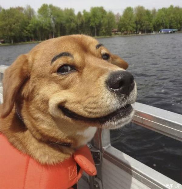 【图】今天是什么情人节?_标致408论坛