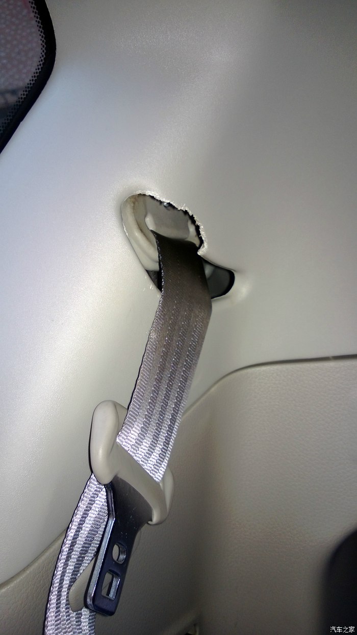 【图】求助!车内部疑似遭遇老鼠入侵,车后部安