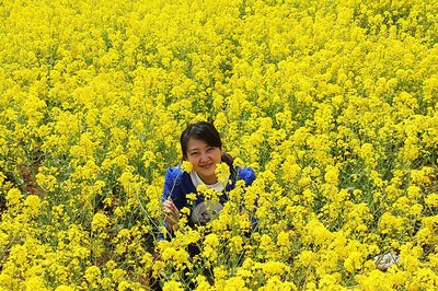 【洛阳车友会】赏嵩县大坪万亩油菜花 陆浑水库 石头部落自驾游!