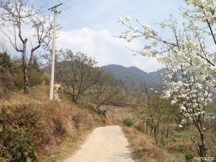 乡土--景东--黄草岭