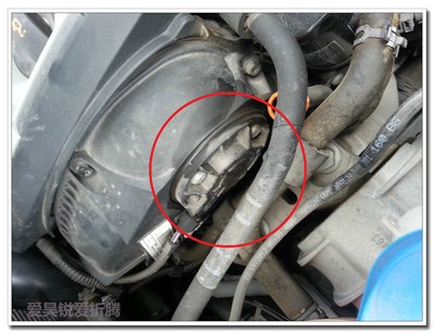 早上检查发动机舱,发现不幸中招,4S店索赔胶套