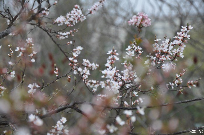 轻风细雨啥意思 500_03164210-2270-cnf1-1fe5-n203ac2lt3bm.jpg