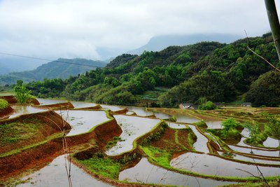 【快乐游记】藏在深山里的美景--贵州赤水宝源梯田