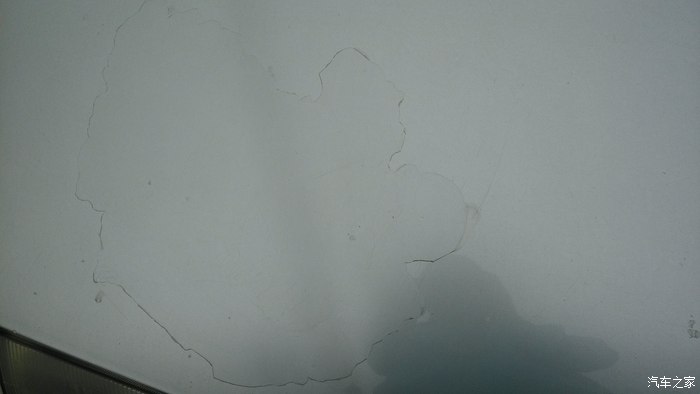 【图】机头盖的保护膜怎么去掉_羚羊论坛_汽