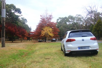 澳洲提2015款golf rline