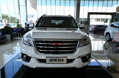 忍不住了,甘愿做只小白鼠】野驴九妹大配对,已