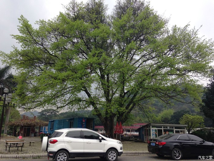 图】【翼搏春季自驾】一种想见不能见的伤痛_