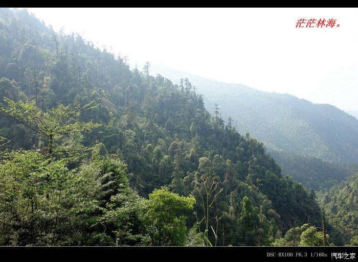 江华大龙山自然保护区