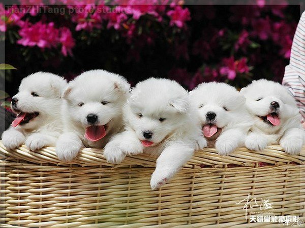 【图】摸摸难以置信综艺节目_功能测试区论坛