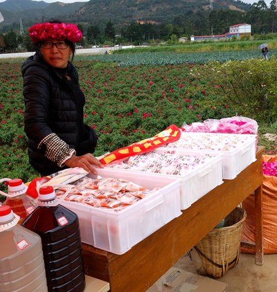 【预告片--安宁八街可以摘玫瑰花啦】