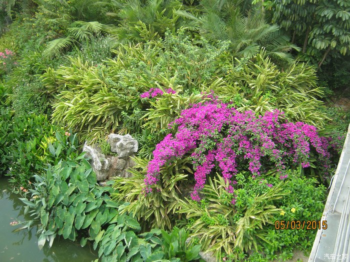 【图】【花样南宁之民歌湖】可远看不可近玩也