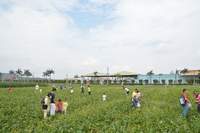 五一假期和朋友、孩儿们去人少的地方玩_广东