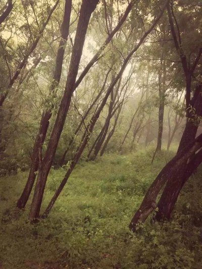 两个人的幸运--五一福建福鼎-浙江杭州-湖州-南