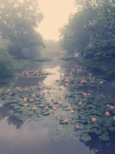 两个人的幸运--五一福建福鼎-浙江杭州-湖州-南