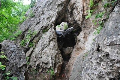 鹤壁白龙庙,休闲垂钓好去处.